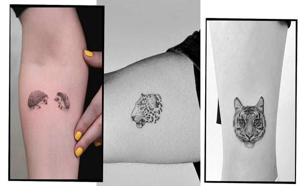Everything You Need to Know About Tattoos