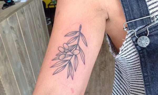 Olive Tattoos: Symbol of Peace or Victory